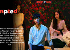 Tempted | Korean Drama| Hindi Dubbed Complete